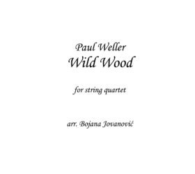 Wild Wood (Paul Weller) - Sheet Music